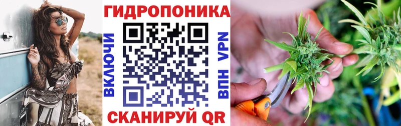 Купить закладки  Черноголовка  Каннабис THC 21% 